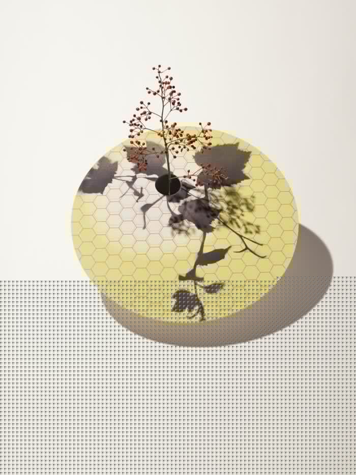 "Mimética. Cerámicas: reflejos y refracciones". La primera exposición de Andrea Anastasio en España