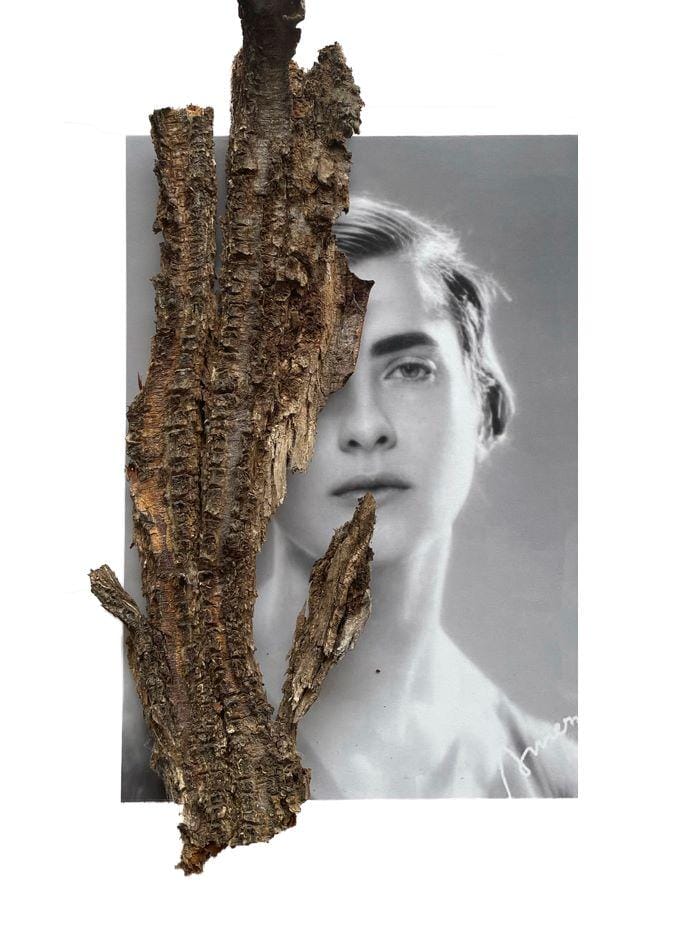 HYBRID Art Fair anuncia los proyectos artísticos seleccionados para la VI edición de DISPLACED