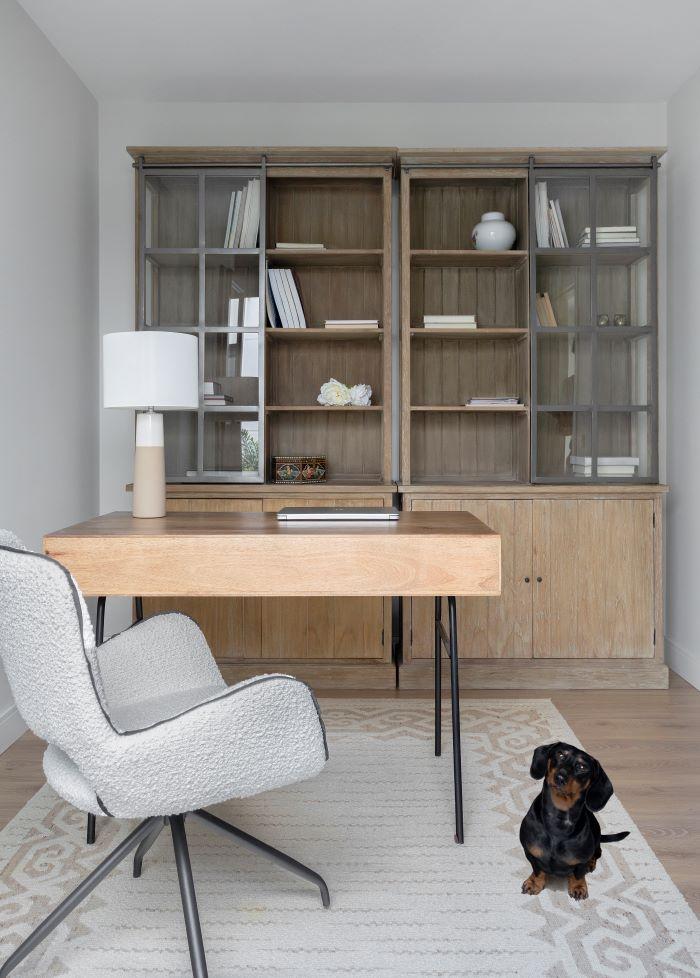 Proyecto Aragón, la nueva obra de Jorge Alonso Estudio