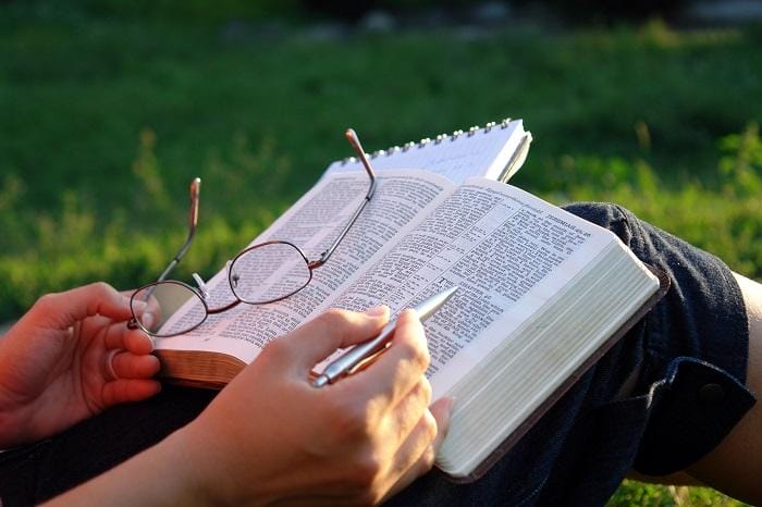 Persona sentada en el césped al aire libre con un libro sobre las rodillas, un bolígrafo y unas gafas