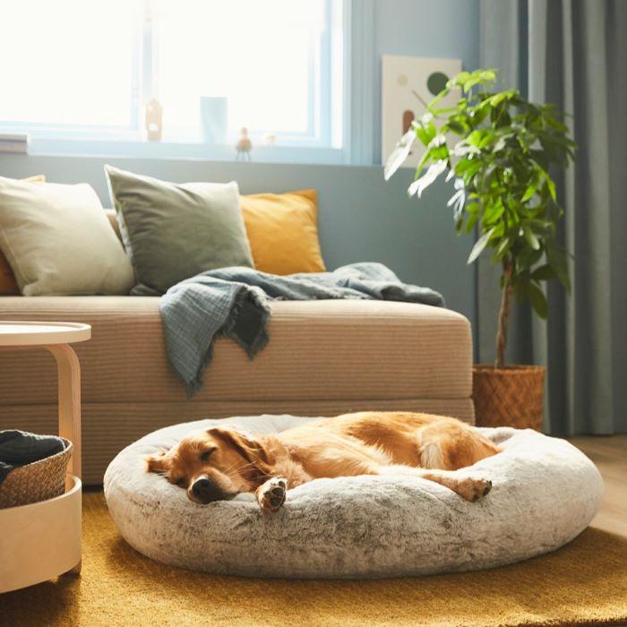 IKEA lanza UTSÅDD, su nueva colección para mejorar la vida en el hogar de las mascotas
