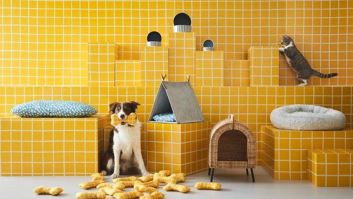 mejor vida en el hogar de las mascotas ikea