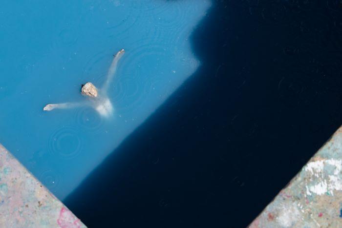 PHotoESPAÑA 2024, movimiento y diversidad fotográfica