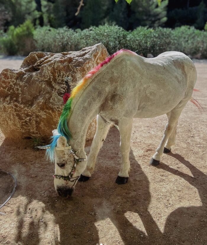 pony blanco con cabello de colores