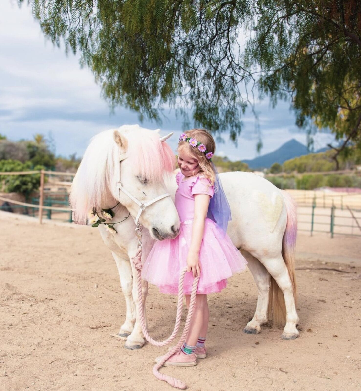 pony de cabello rosa y niña con vestido rosa