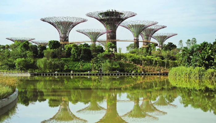 El biomorfismo en arquitectura está inspirado en la naturaleza