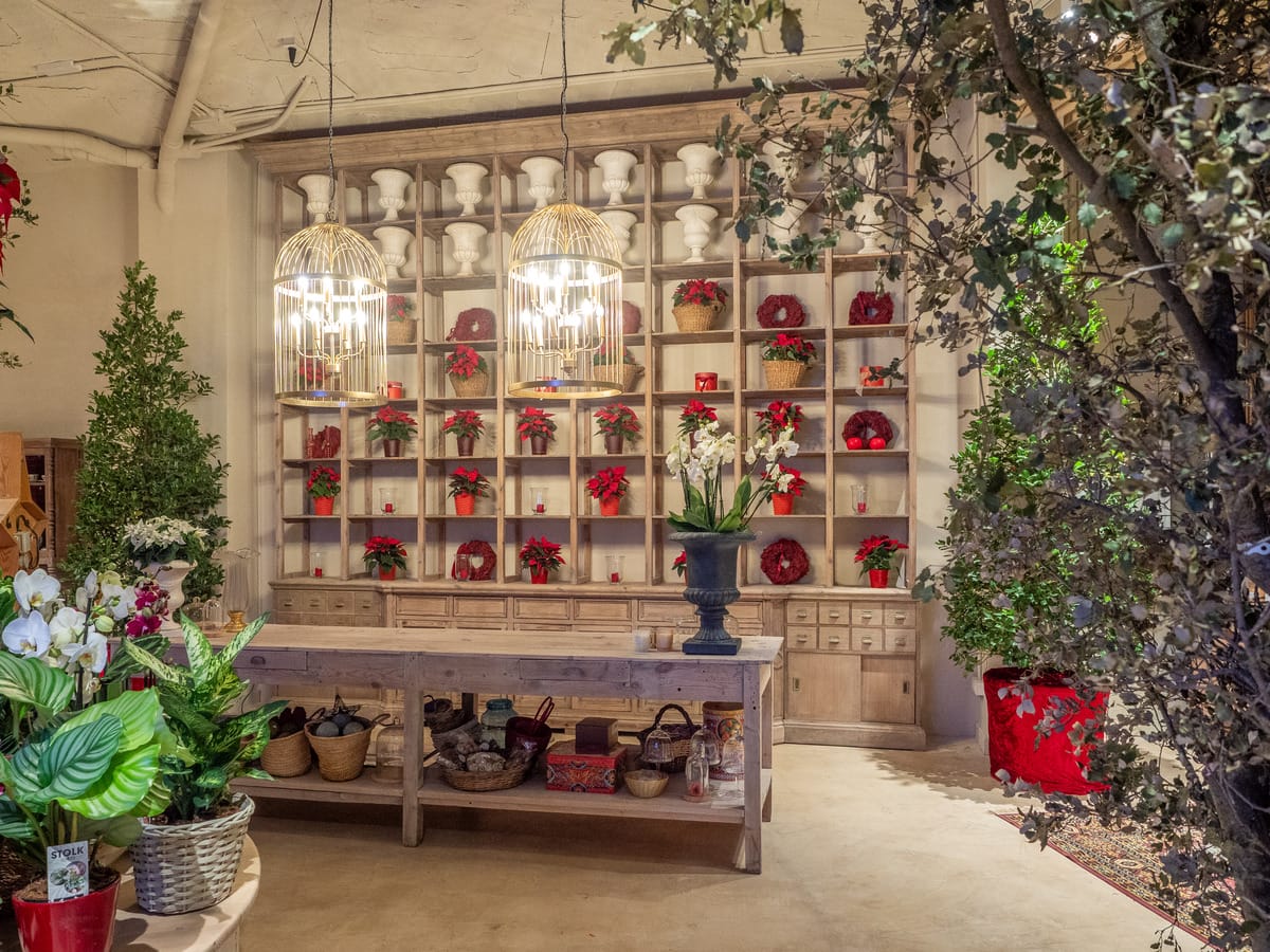 Un espacio dedicado a la belleza de las flores