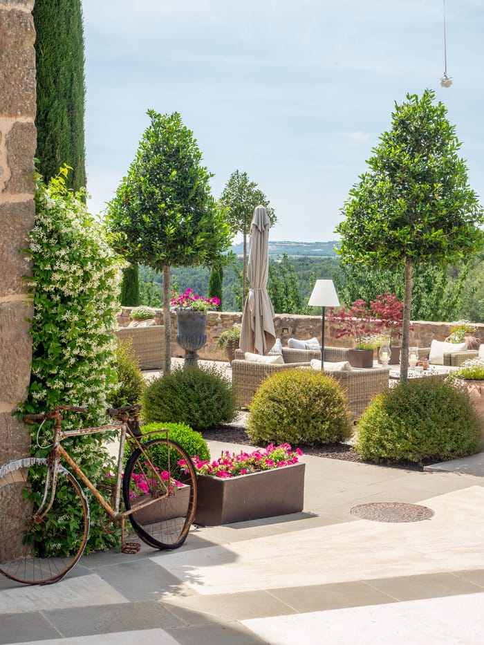 terraza con prados y bosques