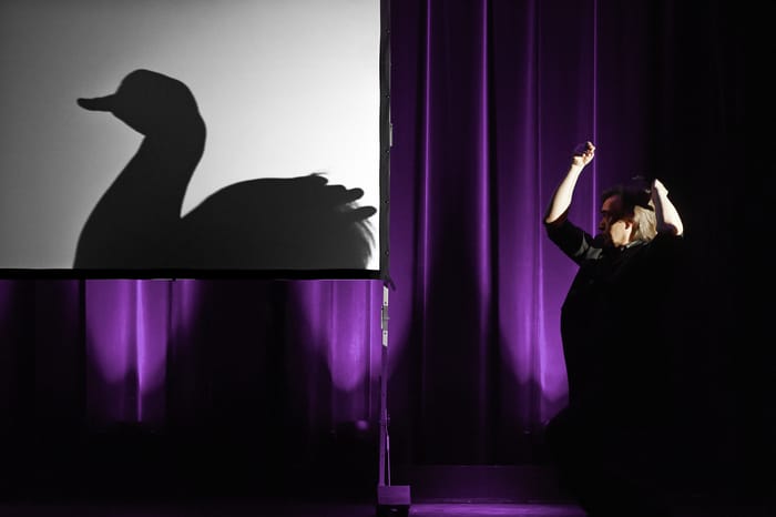 funcion de sombras con manos